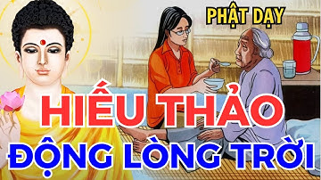 HIẾU THẢO ĐỘNG LÒNG TRỜI | 5 Câu Chuyện Cảm Động về Nhân Quả và Lòng Hiếu Kính, NGHE ĐỂ THỨC TỈNH