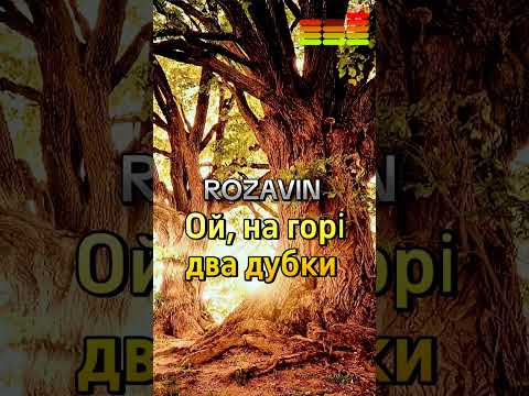 ROZAVIN Ой на горі два дубки Official Audio Прем єра пісні