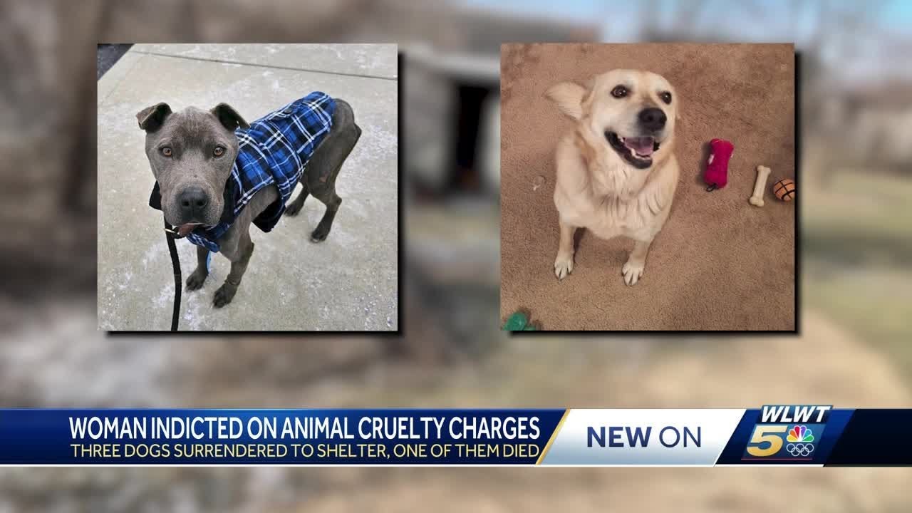 Middletown woman indicted, accused of leaving dogs out in freezing cold ...