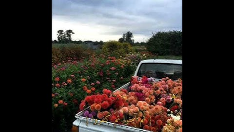 سورة النساء ||آية 137 #القرآن_الكريم #القرآن #عبدالباسط_عبدالصمد #سوره_النساء