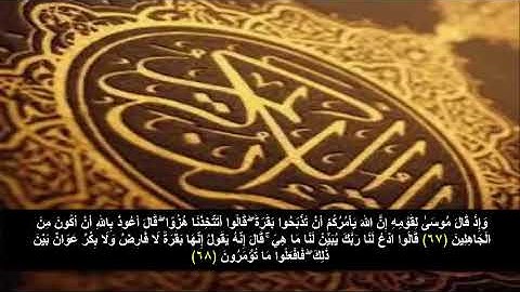 سورة البقره من الآية 67 - 68 . مكرره 3 مرات للحفظ