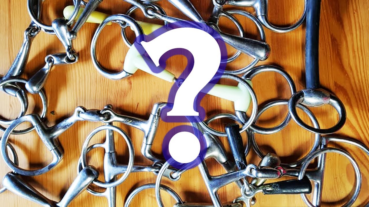 HILFE bei der Gebiss-Suche! | + Rabattcode Sprenger