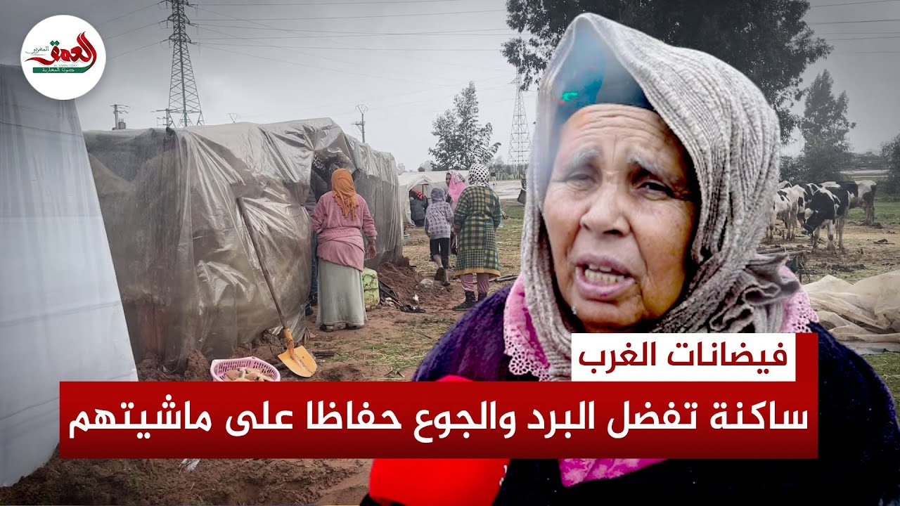 «كسيبتنا بحال ولادنا».. ساكنة 