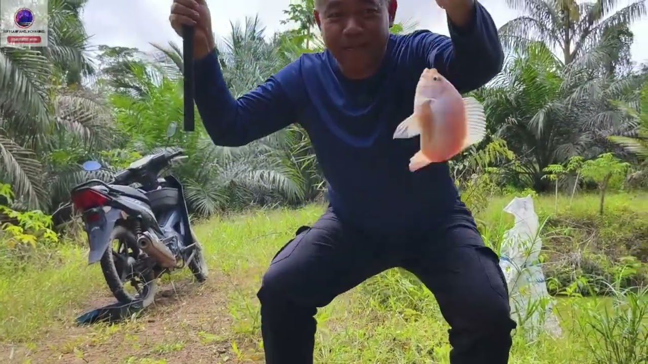 HARI INI KITA CUBA NASIB MEMANCING DI KOLAM KEBUN KELAPA SAWIT. REZEKI ATAU KOSONG? JOM TENGOK!! 