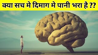 Brain fact in hindi