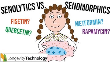 My ultimate guide to senotherapeutics (senolytics vs. senomorphics)