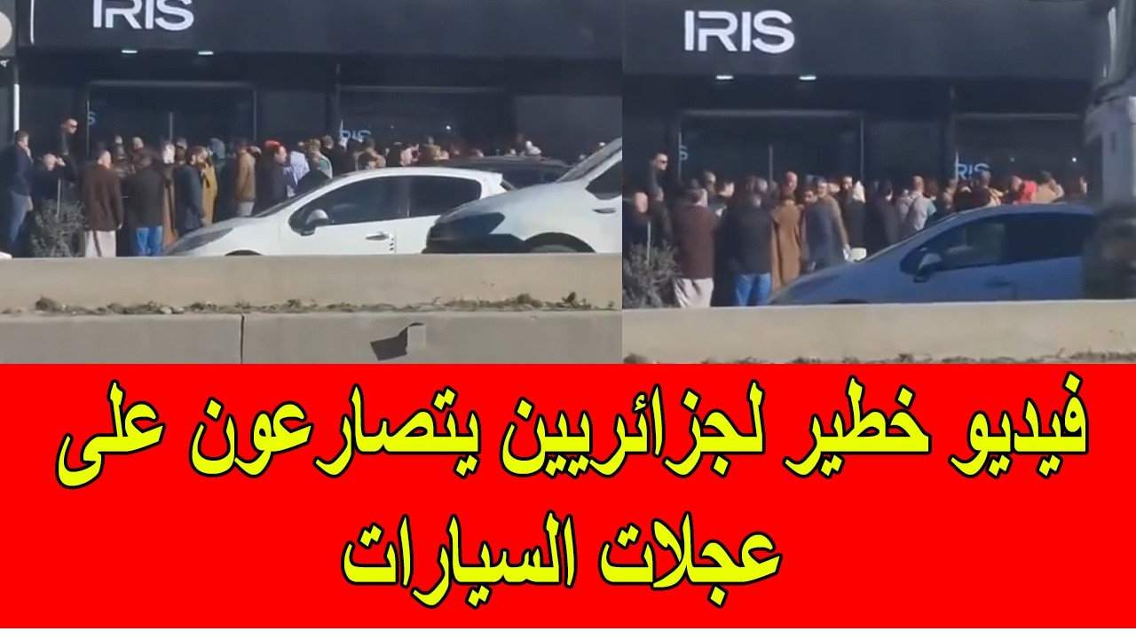 فيديو خطير لجزائريين يتصارعون على عجلات السيارات في الجزائر