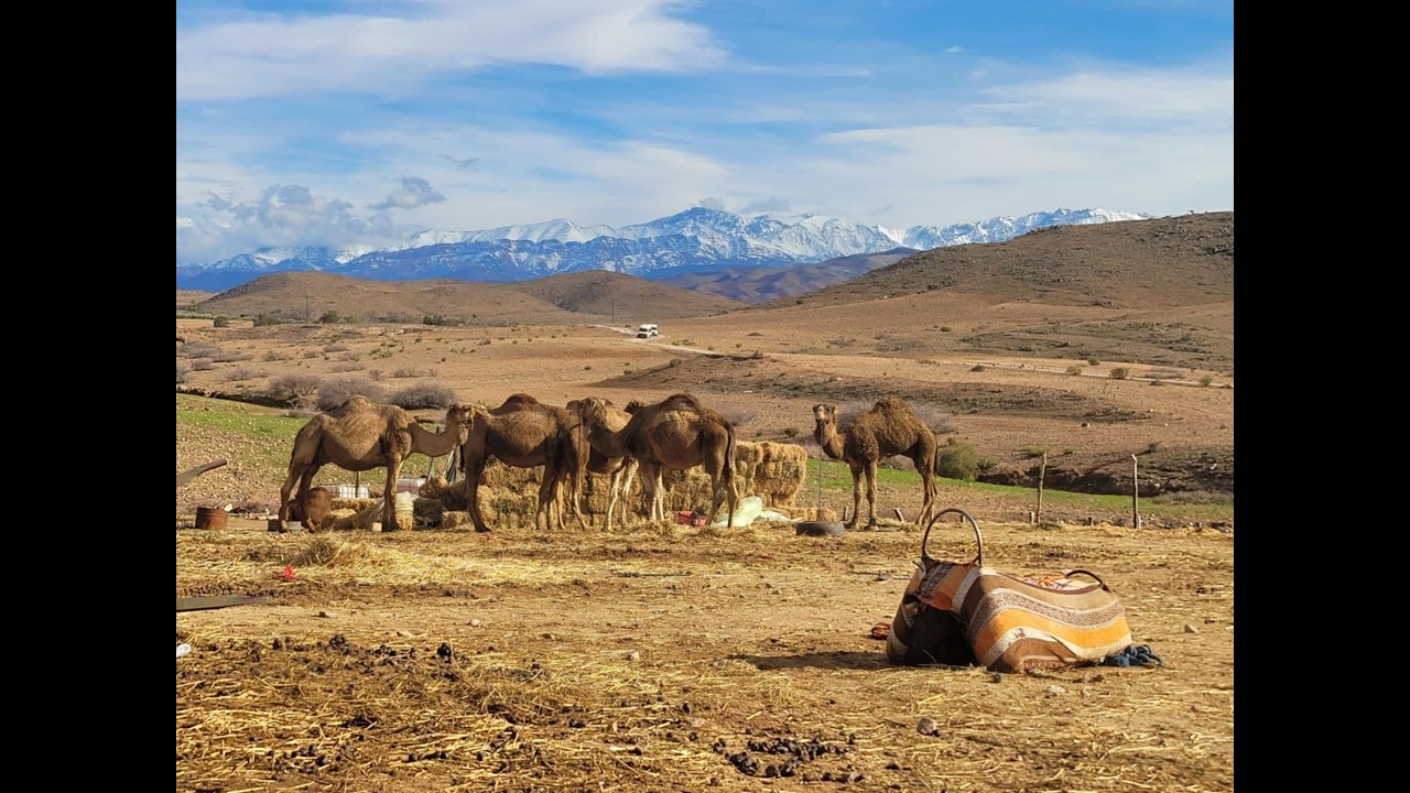 The best £45 we spent in Marrakesh Morocco  celebrating Chris turning 40!