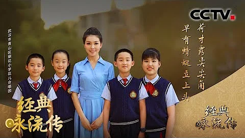 用经典温暖致敬武汉英雄 武汉花儿合唱团动情咏唱催人泪下 | 经典咏流传第三季 - 天天要闻