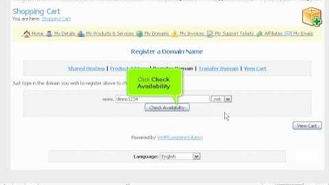 How to register a domain name in the client portal