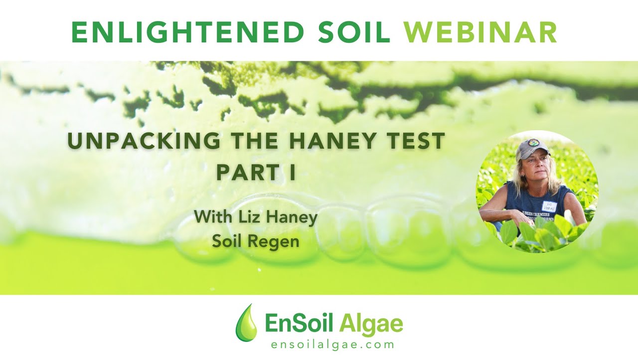 Unpacking the Haney Test by Liz Haney