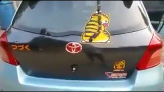 Car Rear Wiper Cat Decal