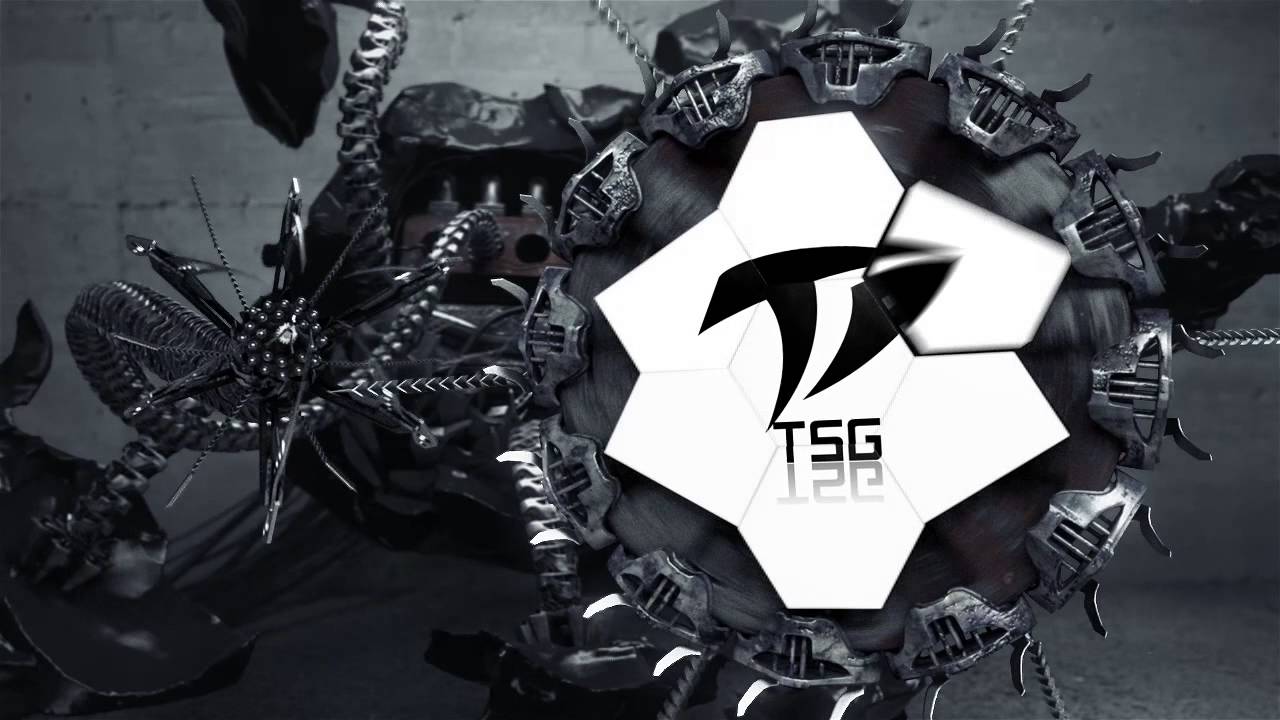 TeamSportsGaming Intro