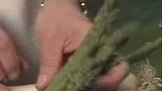 Vegetable Video