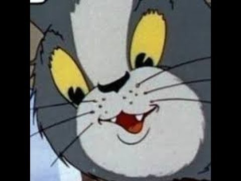 lofi hip hop