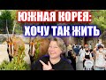 СЕКРЕТ корейского отдыха | Зоопарк в Южной Корее | Корея влог