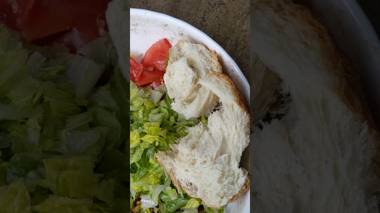 Feb 26th24🧑‍🌾🏡🐔🐓🐣🐤🐣🐤🐣hen sitting on eggs I closed door here comes replacements .. real meat cat food