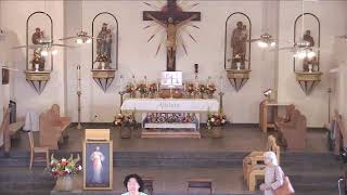 Why Are You Catholic? The Eucharist as Our Anchor in Suffering