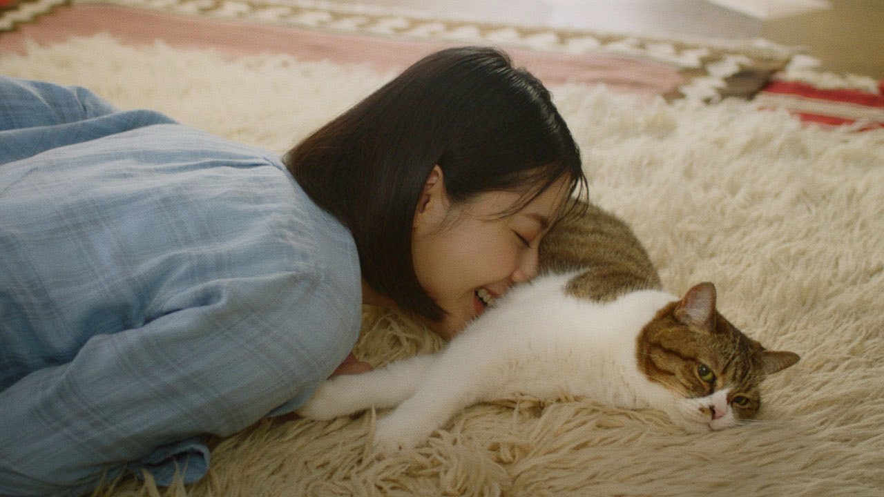 松本若菜、愛猫をクンクン！「栄養補給ぅぅぅぅ～」　猫役は津田健次郎　カロリーメイト リキッド新CM「吾輩は栄養である・春」編
