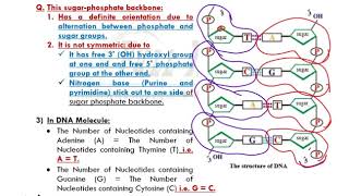 Episode 2 I DNA structure I