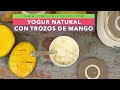 YOGUR NATURAL CON TROZOS DE MANGO | Cómo preparar yogur con mango casero | Yogurtera Luvele