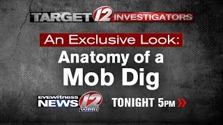 Target 12: Anatomy of a Mob Dig