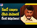 Key issues filed in the memo filed by CID in Chandrababu Case