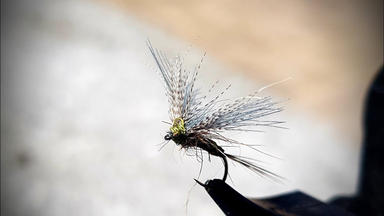 BWO Champêtre CDC