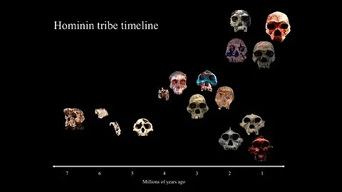 CARTA: The Evolution of Human Nutrition -- Peter U...