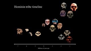 CARTA: The Evolution of Human Nutrition -- Peter Ungar: Australopith Diets