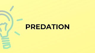 What Is The Meaning Of The Word Predation?