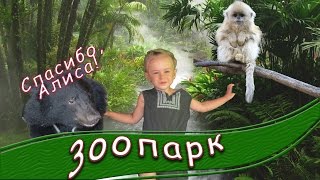 СМЕРТЕЛЬНЫЙ НОМЕР-ГЛАДИМ ЖИВОГО МЕДВЕДЯ ! ЗООПАРК СМЕРТЕЛЬНЫЙ НОМЕР-ГЛАДИМ ЖИВОГО МЕДВЕДЯ ! ЗООПАРК