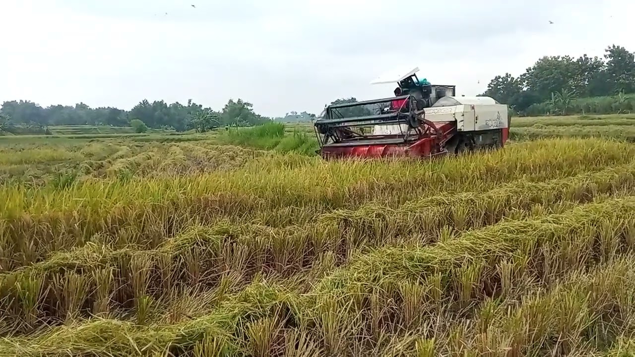 PANEN LEBIH RINGAN BIAYA DENGAN KOMBI