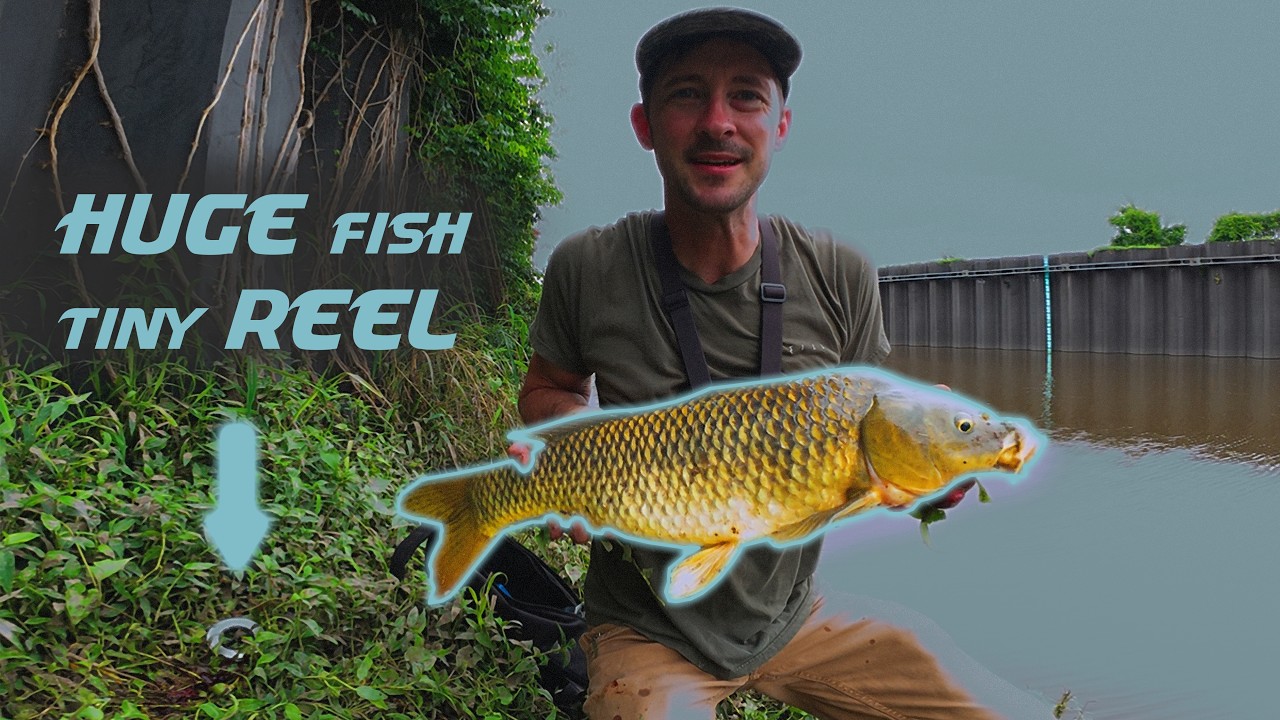 big_fish_small_reels Accurate BX2-30-S Boss Extreme 2-Speed Reel Includes a fishing pole Huge Fish - Tiny Fishing