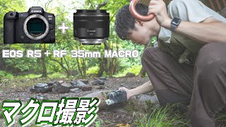 マクロレンズを覗くと目では見れない感動的な生き物の世界が・・・！？【RF35mmF1.8MACRO】