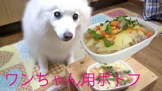 犬用のポトフを作ってみました。日本スピッツの実食シーンも入れました。