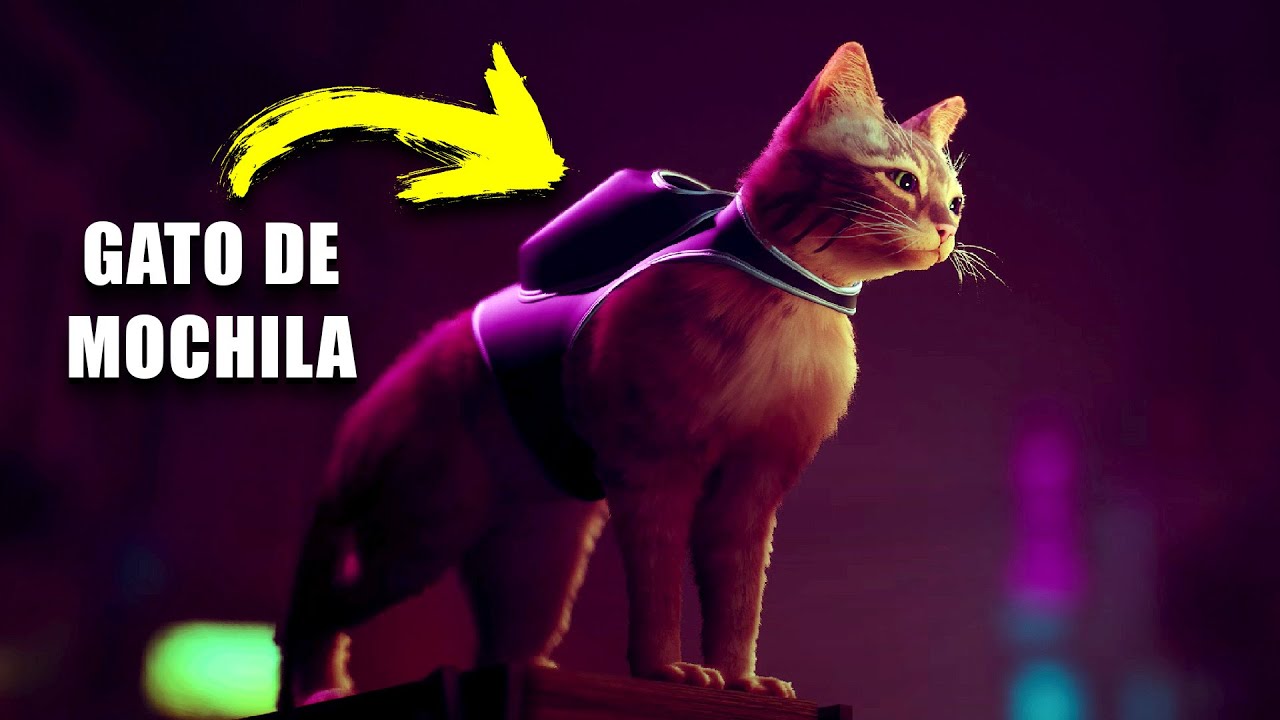 Stray: jogo do gato de mochila ganhará filme animado com diretor de 'A  Era do Gelo' 