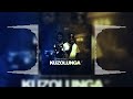 Thab De Soul & InQfive - Kuzolunga(Visualizer)