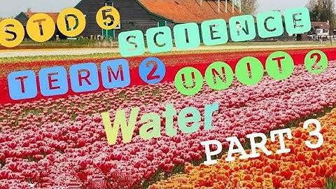 5th Science, Term 2, Unit 2 - water, part 3