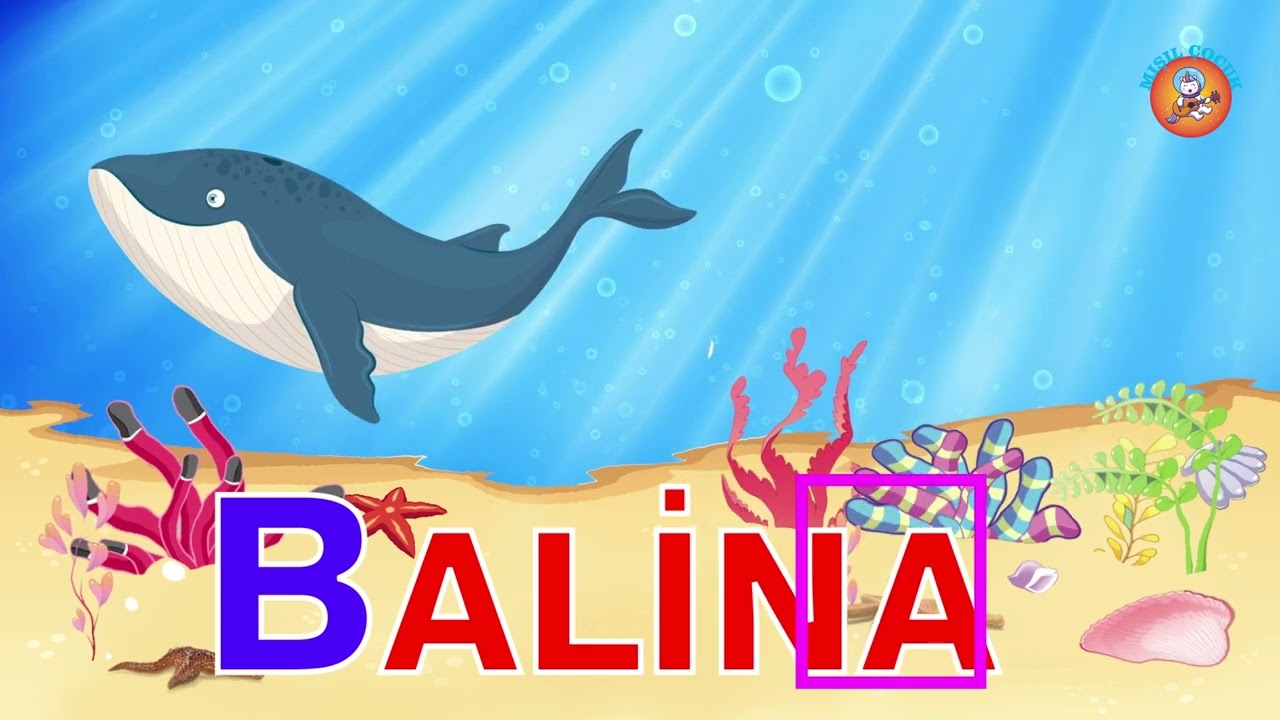 Learning the Alphabet - B - Fun and Educational Kids Videos - YouTube