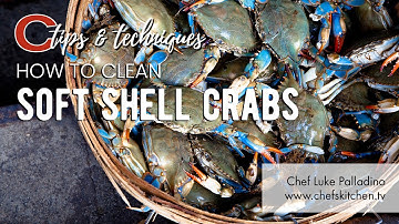 How to Clean a Soft Shell Crabs | Chef Luke Palladino
