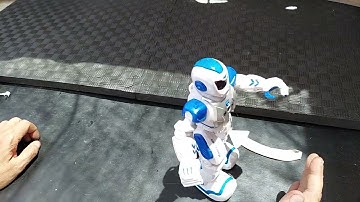 How Easy it Is To Control This Robot With Hand Gestures Only