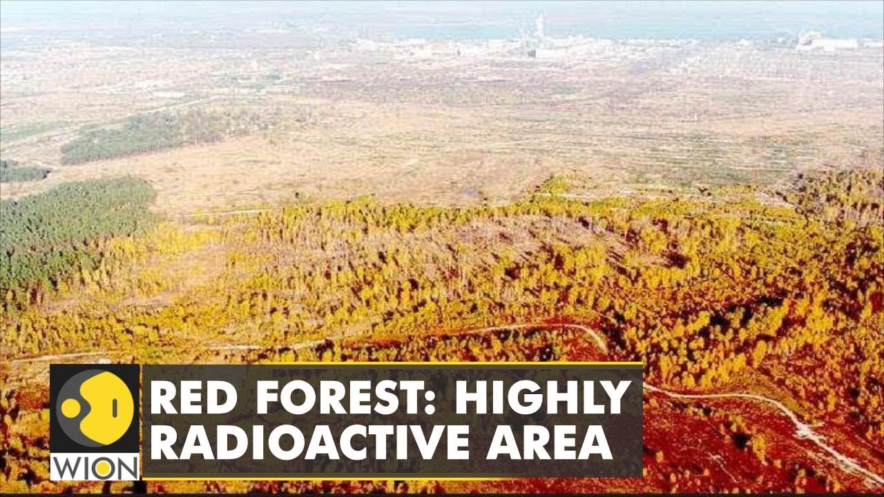 Russians drove through 'Red Forest', Chernobyl workers report incident from last February -