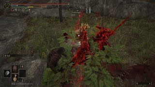 Elden Ring PvP is Interesting
