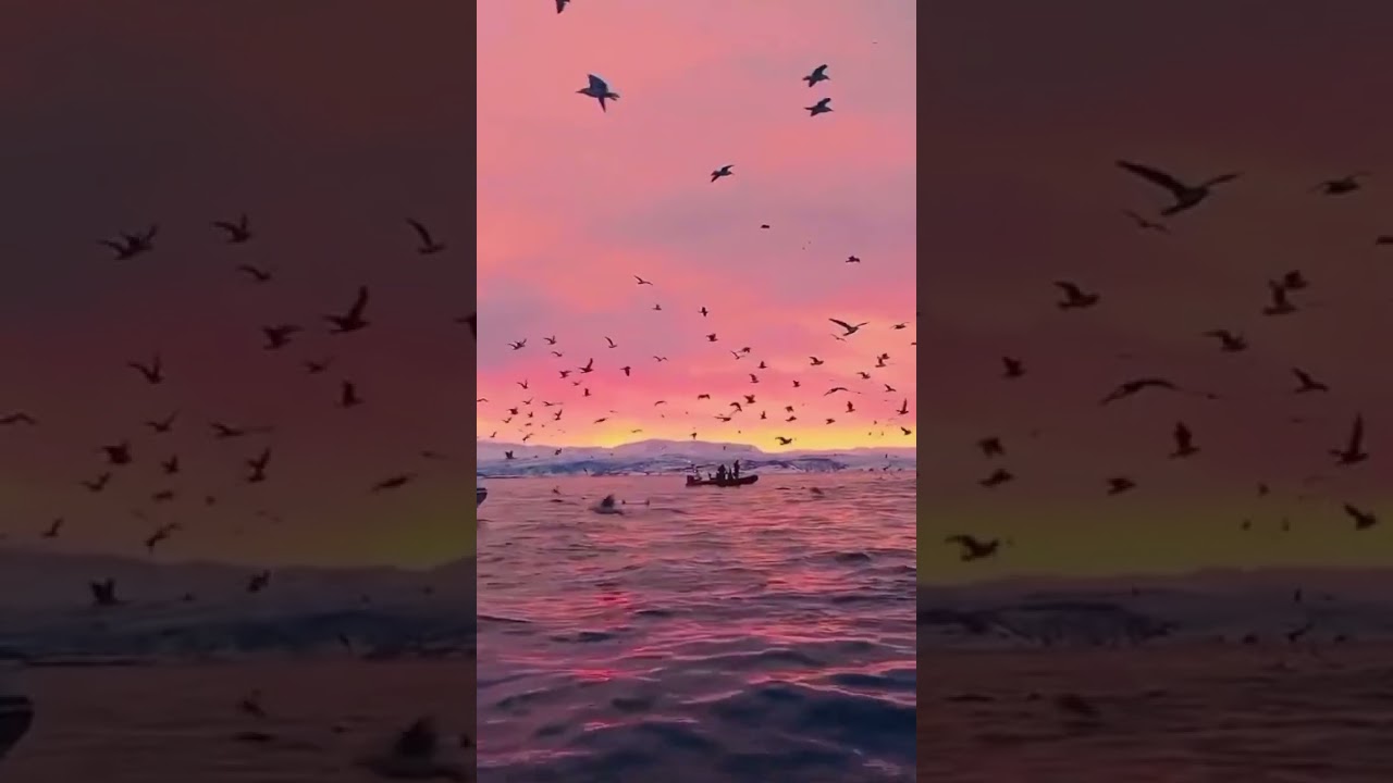 Please like and follow my chanel 