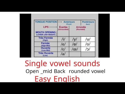 Single vowel sound .It's technical name is the