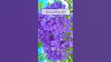 فإن مع العسر يسرا -سورة الشرح- القارئ🎙: فارس عباد -(قرآن كريم)