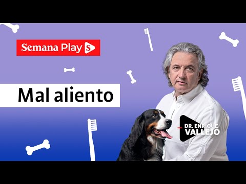 Causas del mal aliento en perros y gatos | Enrique Vallejo