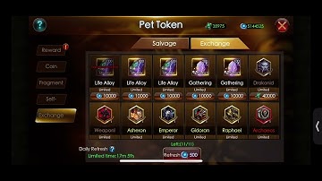 Legacy of Discord - Furious Wings 