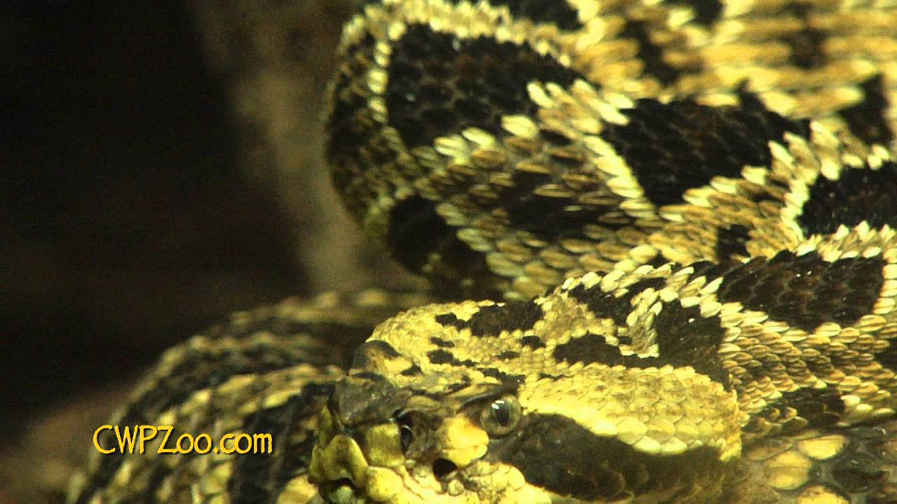 catoctin mountain park North America Virtual Tour